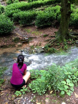 At Long Jing Village, an amazing tea plantation that will be featured very soon on my food blog, Cat the Critic!