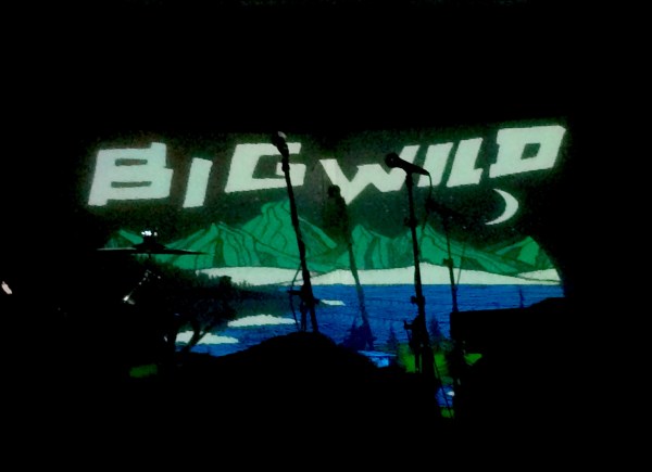 big wild 1